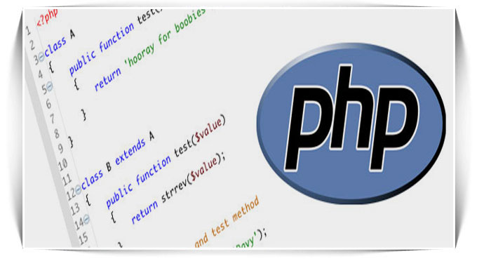 php freelance developer